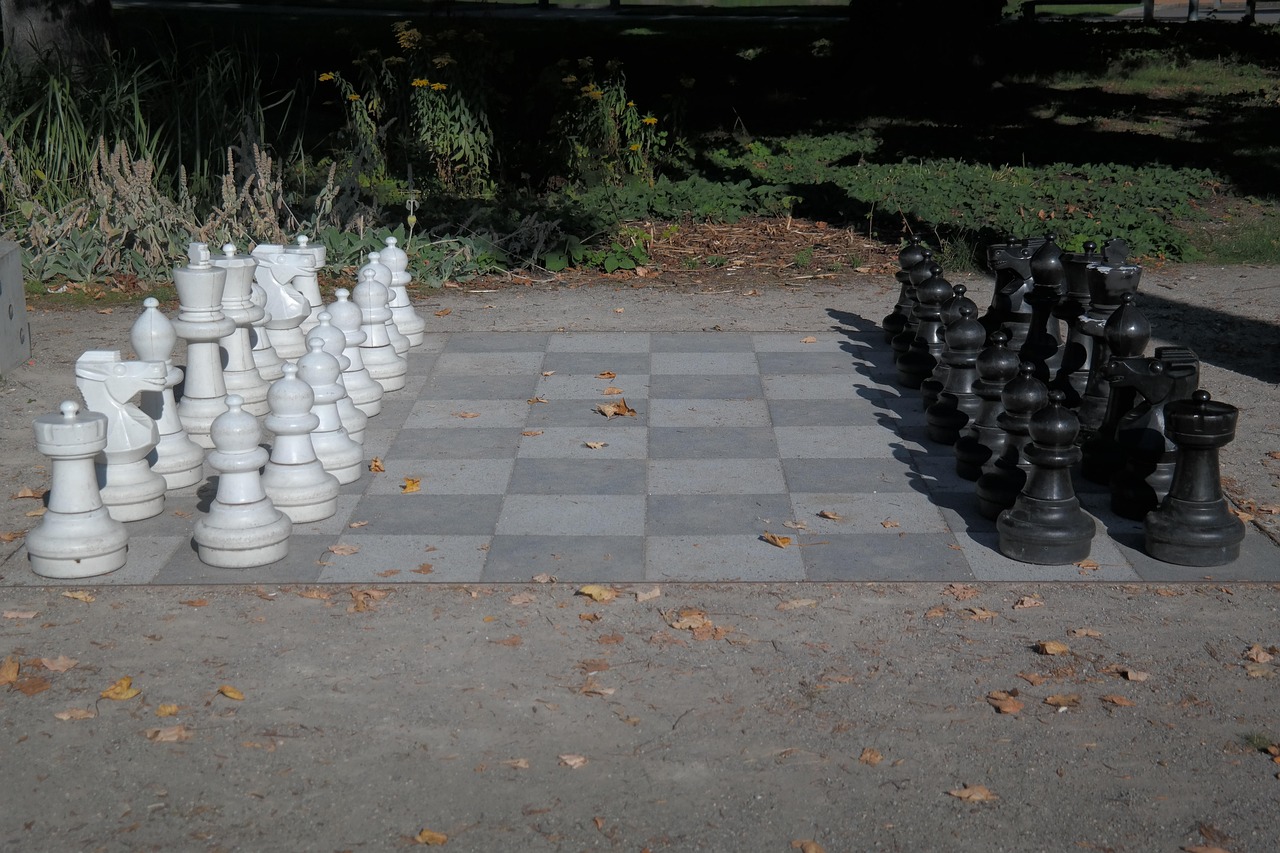 观赛心得，象棋比赛的精彩瞬间与策略解析