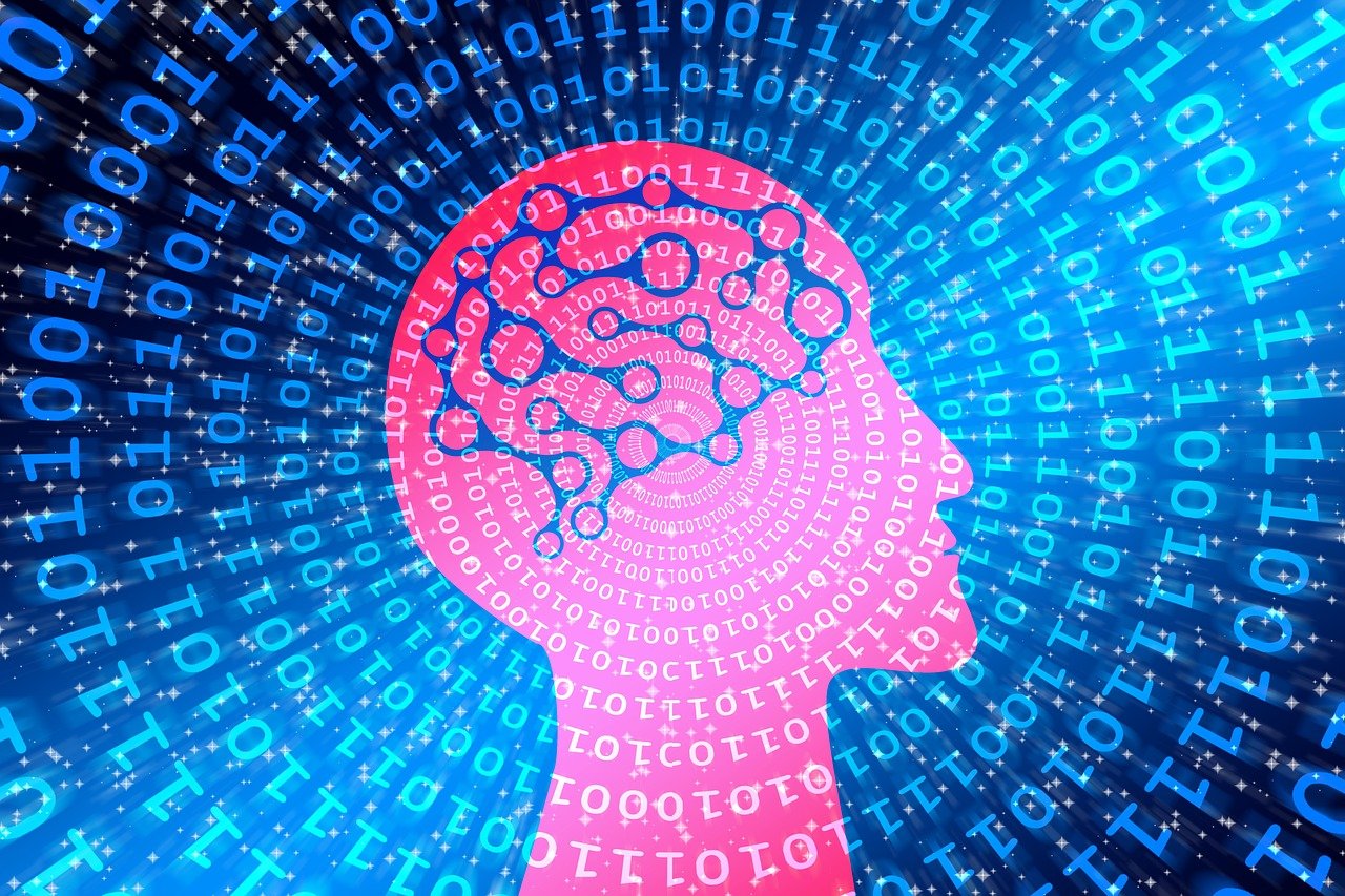 蚂蚁币最新动态，探索数字货币新领域与新机遇的挑战与机遇
