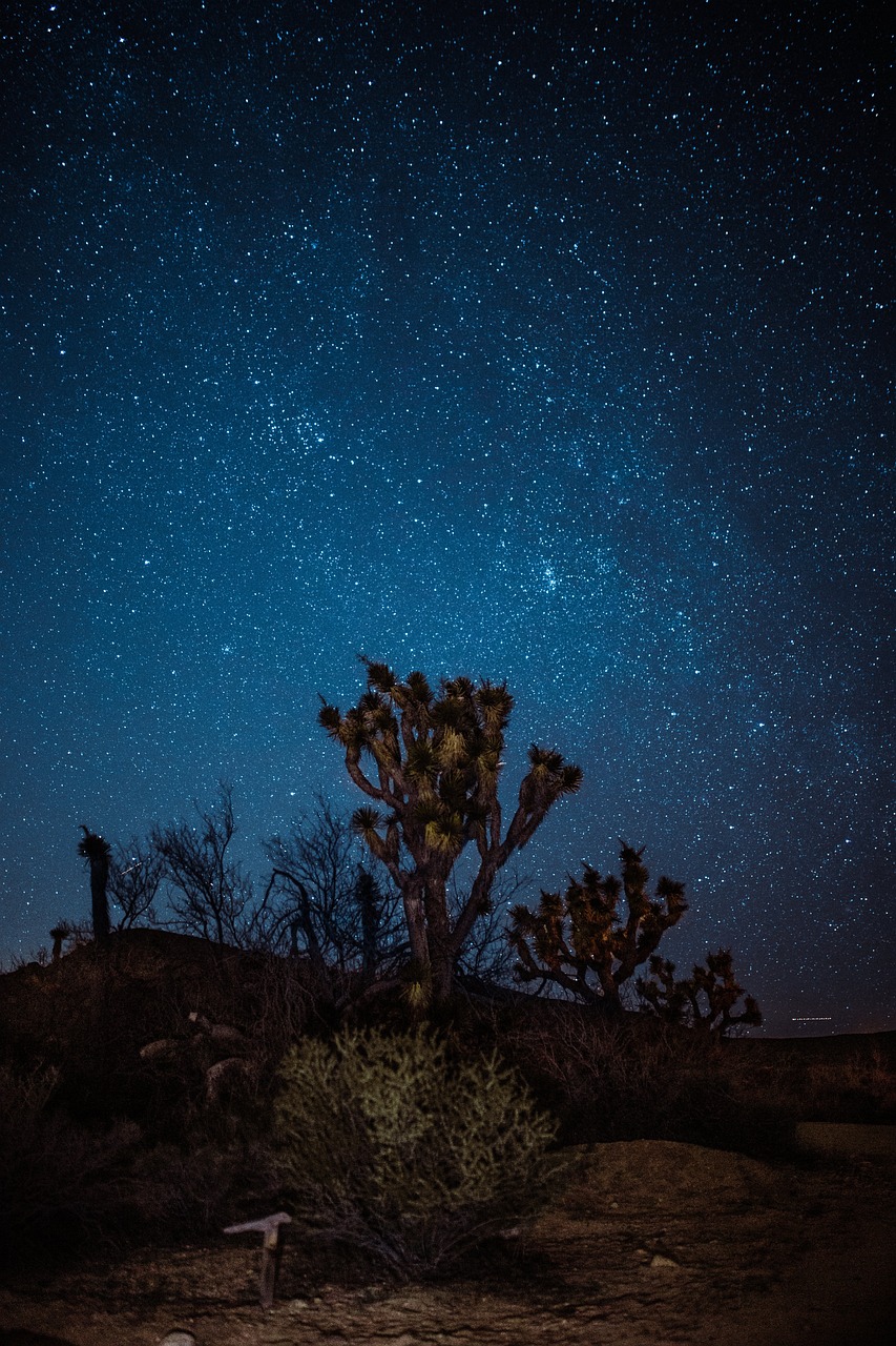Starless动漫，探索无星的奇幻世界之旅