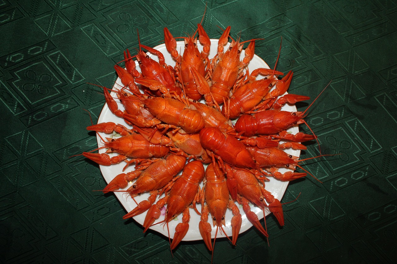 小龙虾市场价格走势解析，深度分析小龙虾市场价位与趋势