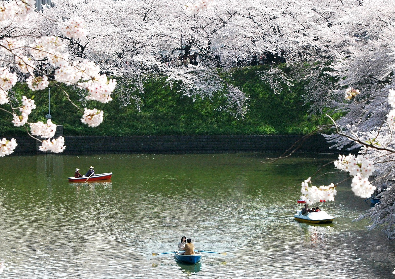 眉山东湖春天最新房价概览