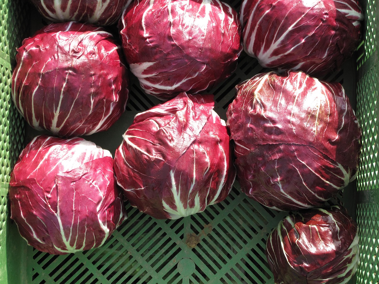 蔬菜每日价格查询软件使用指南，快速查找蔬菜价格软件的方法与技巧