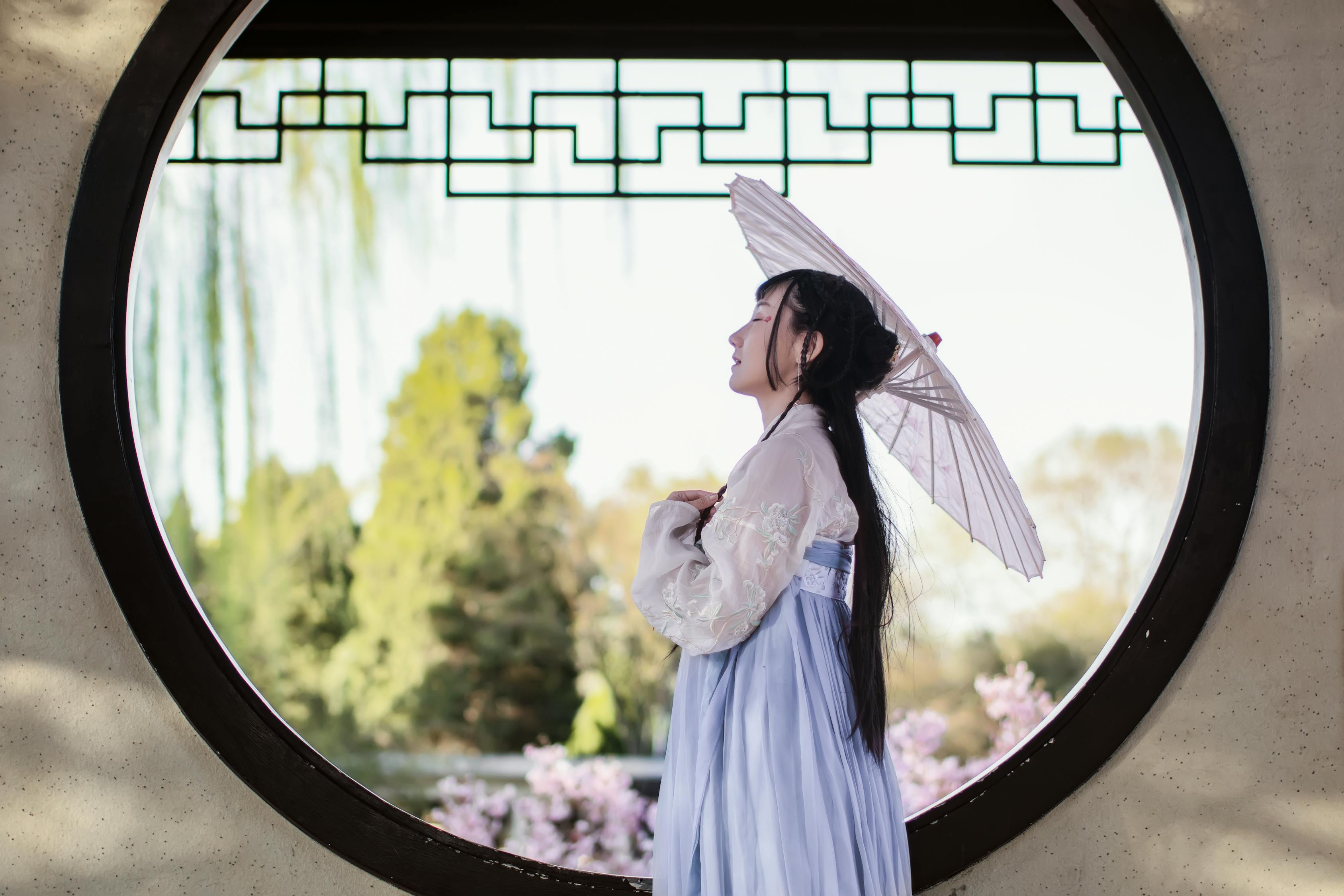 女士的品格电视剧免费在线观看，展现现代都市女性的职场与生活魅力