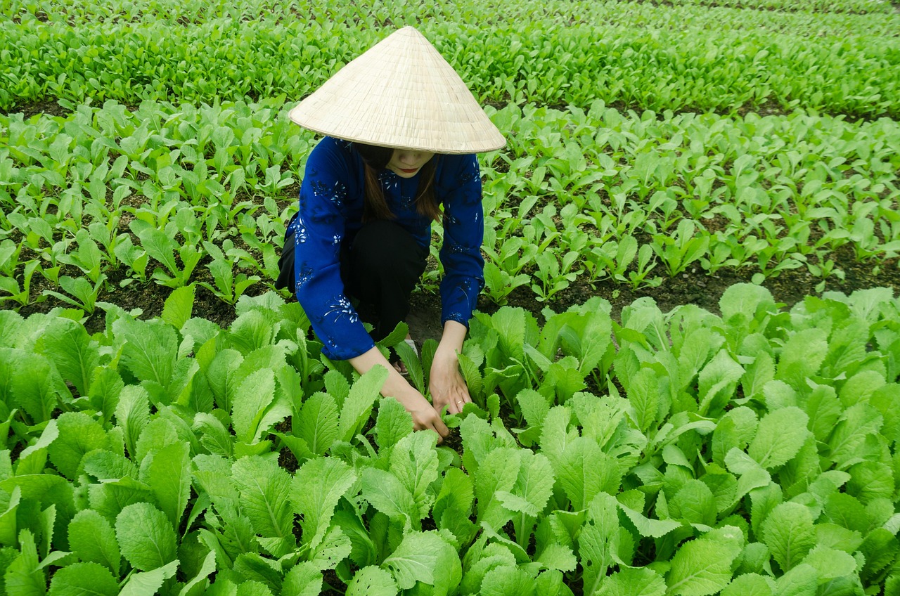绩溪并入黄山，地区发展融合与创新的最新动态探索