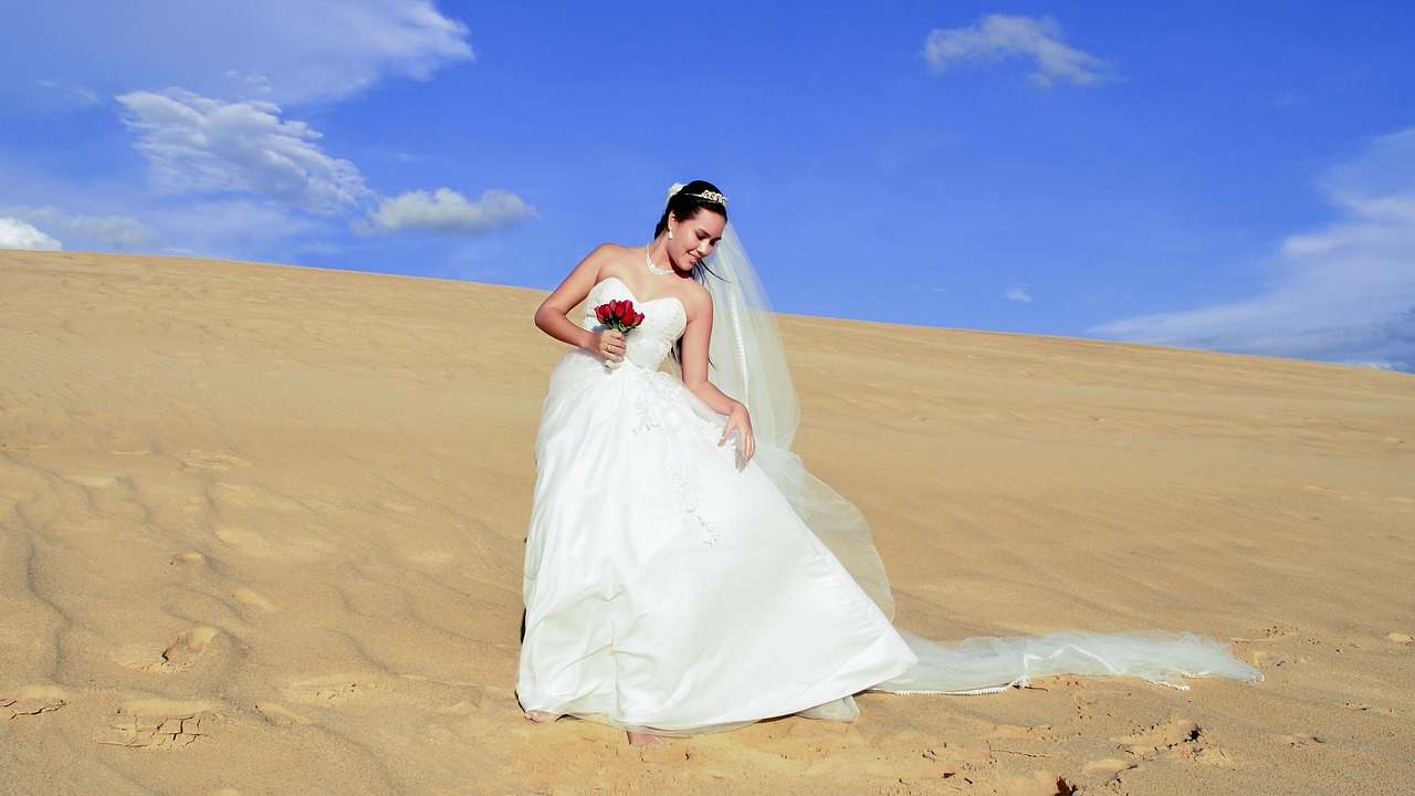 未婚女明星的独立之光与爱情选择，未婚生活下的自我与抉择