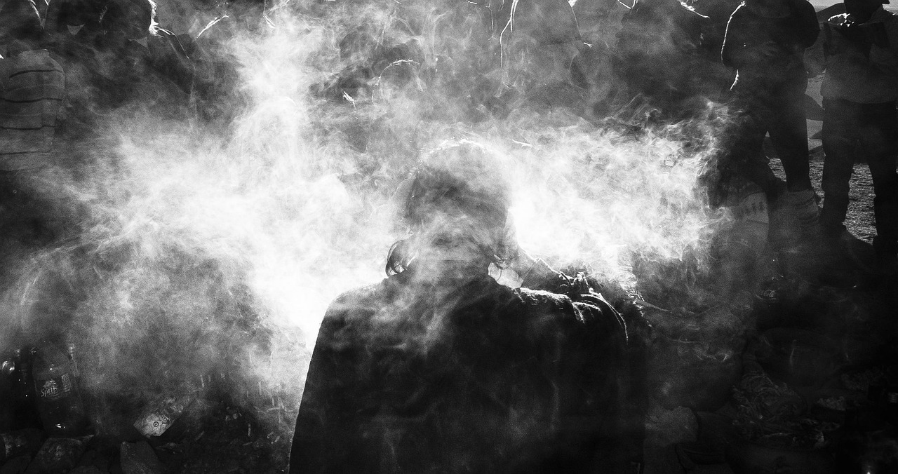 我国最新法律动态概览，最新法律动态解析与概览
