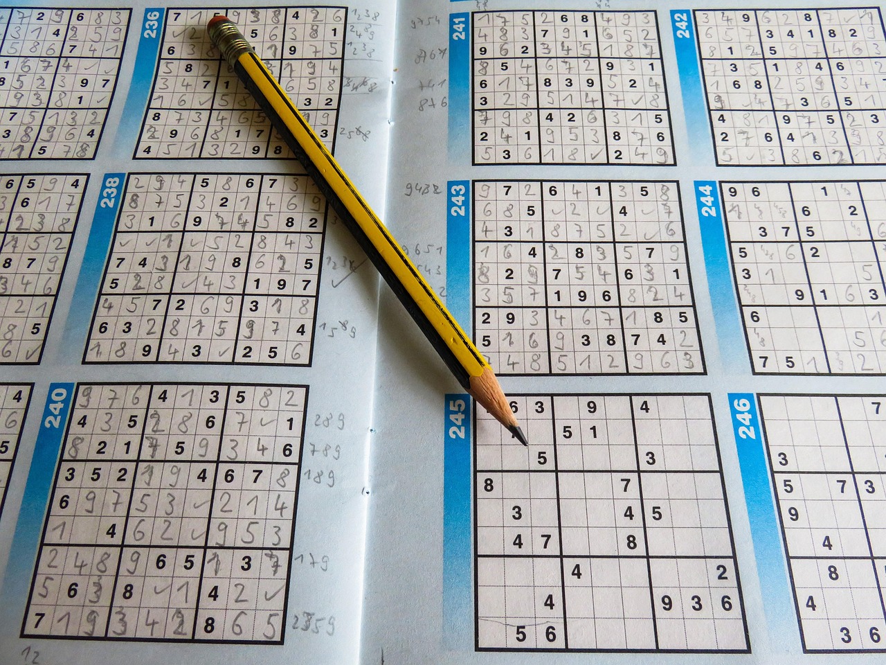 北京土豆价格最新行情及分析摘要