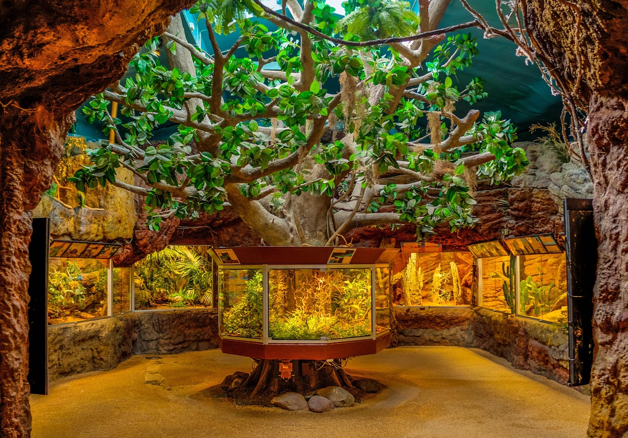 最新鱼缸款式展示，个性化居家水族世界的打造
