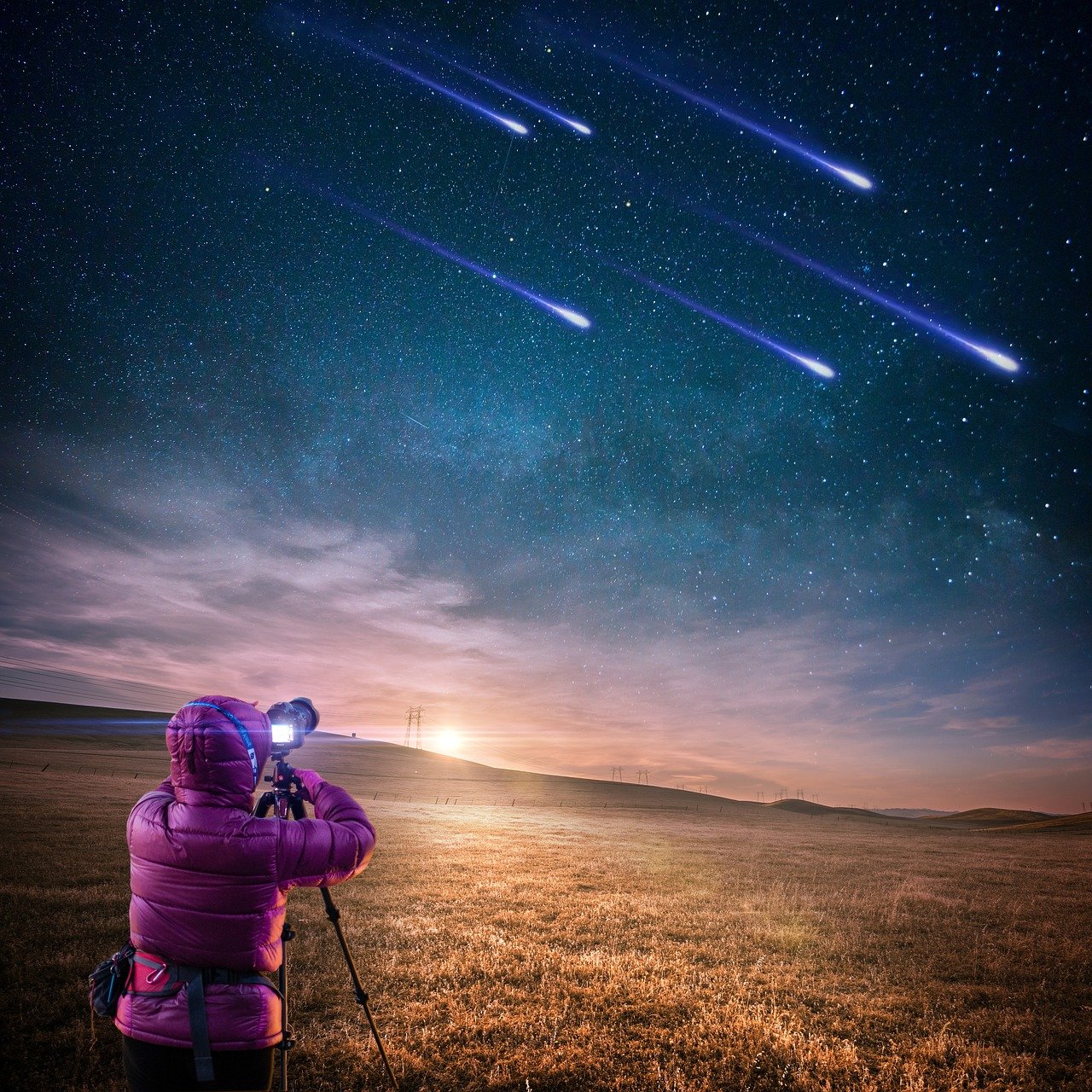 探索明星库，揭秘璀璨星光的背后故事