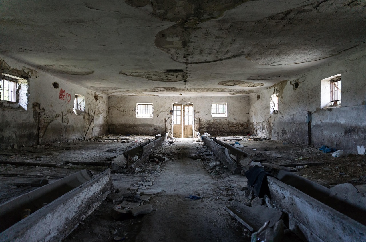 探寻电影背后的故事与秘密,电影扒手揭秘幕后真相