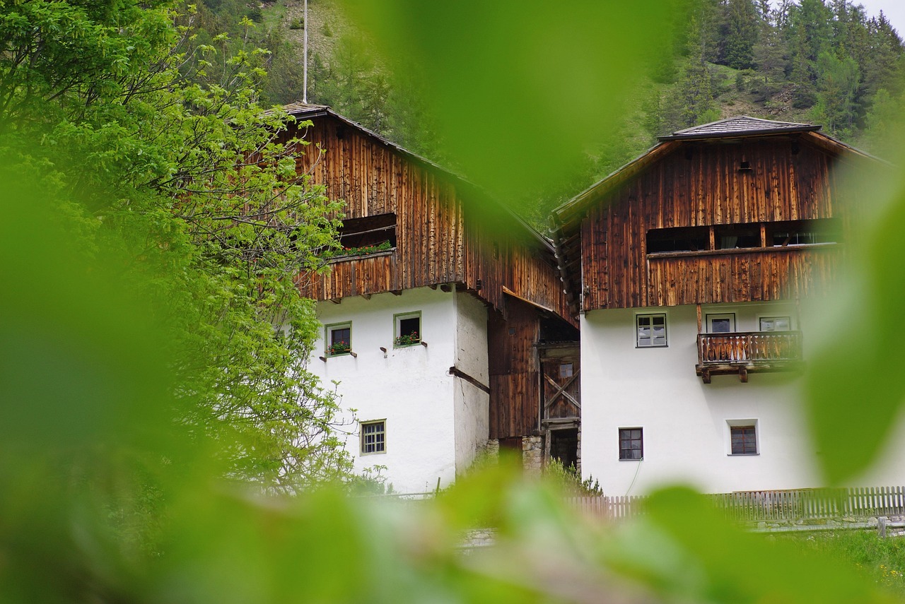 乡村青春活力,我们村里的年轻人电影