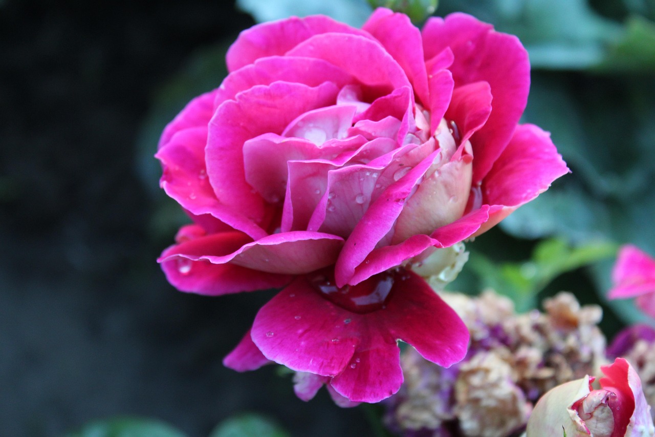 省一监逃犯最新动态揭秘