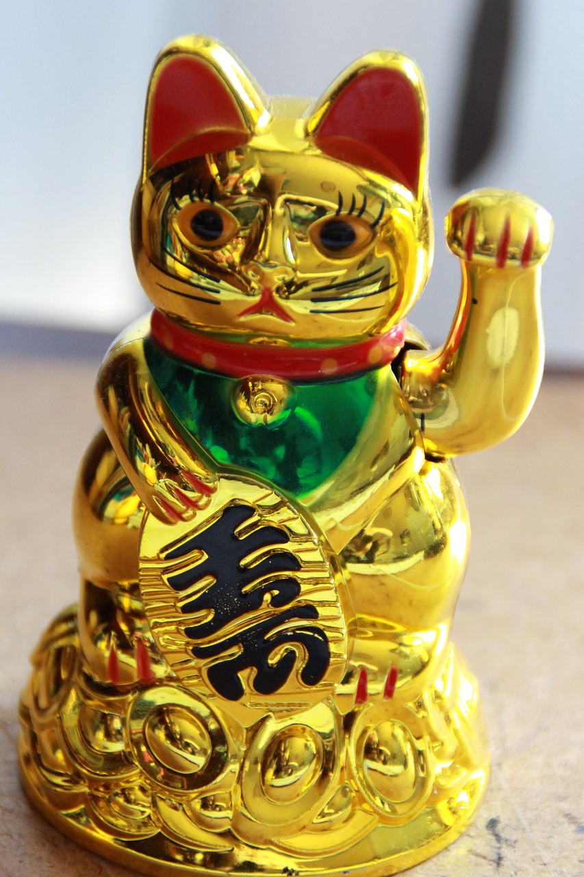 即时猫新动态，探索美好共生时代，与猫咪共赴未来之旅！