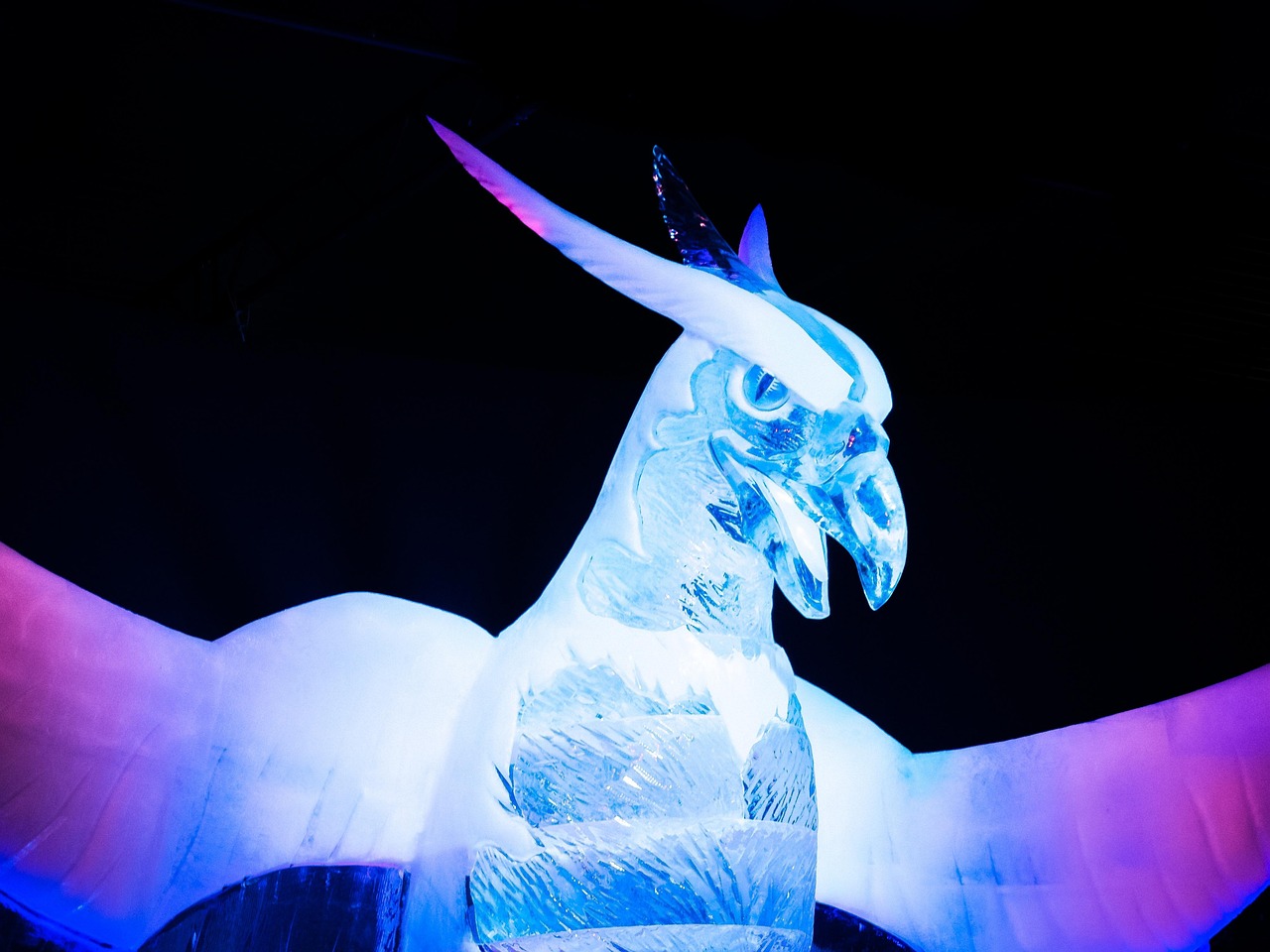 王雪新动态，展现新时代风采，探索无限可能