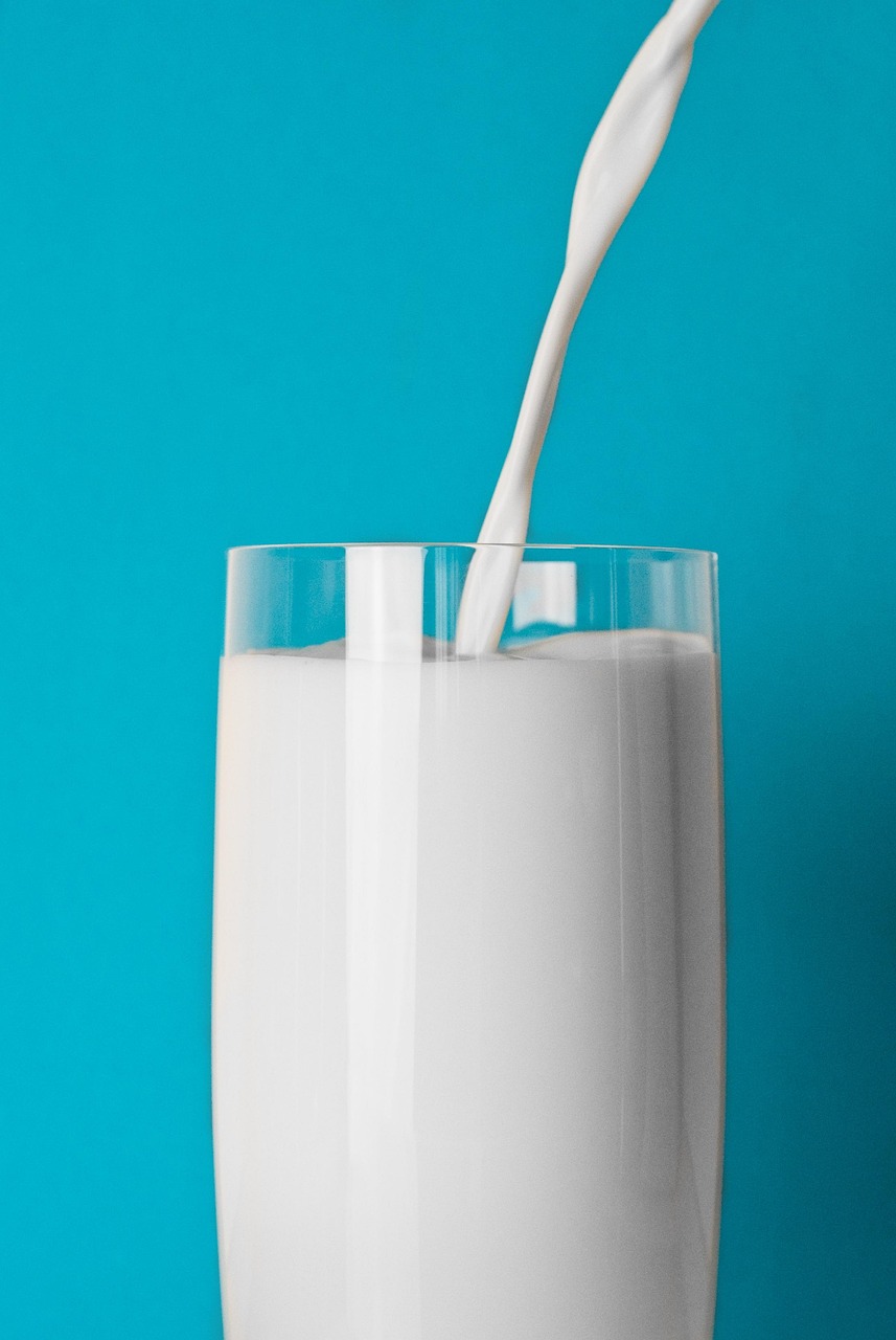 奶骑资讯，引领乳业行业发展的最新前沿动态