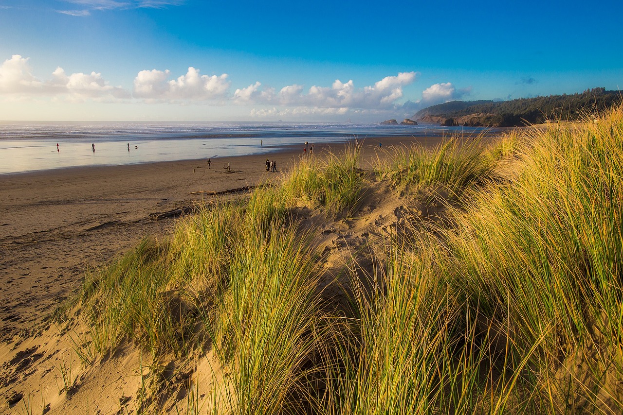 海南蓬勃发展中的热带特色海岛,最新新闻全掌握