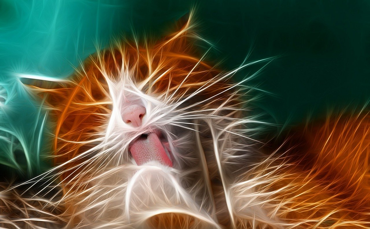 探索最新版本的3D Max,功能与特点揭秘