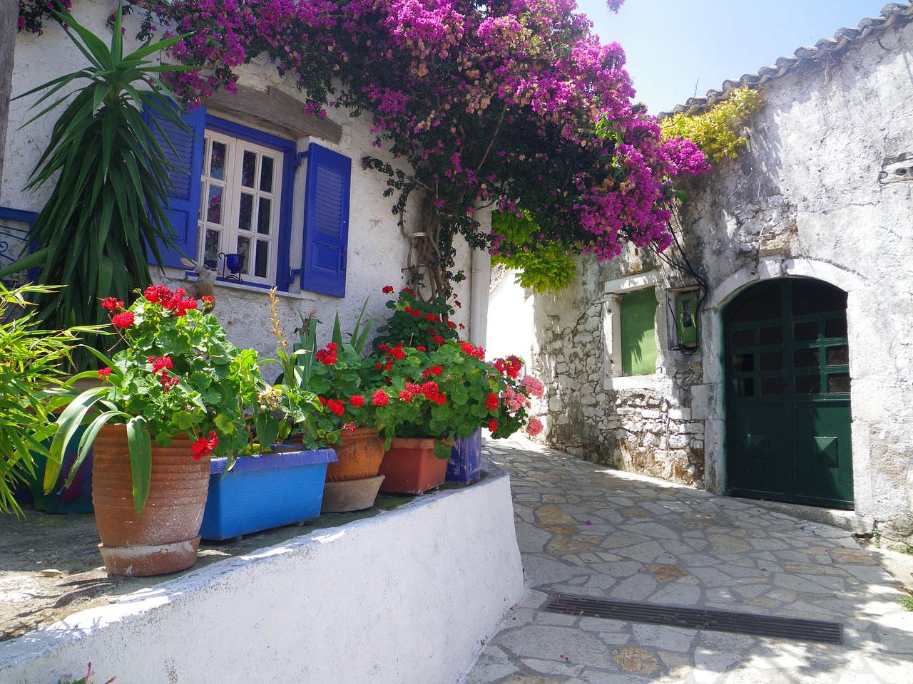 利娴庄最新动态,探索未来,开启新篇章