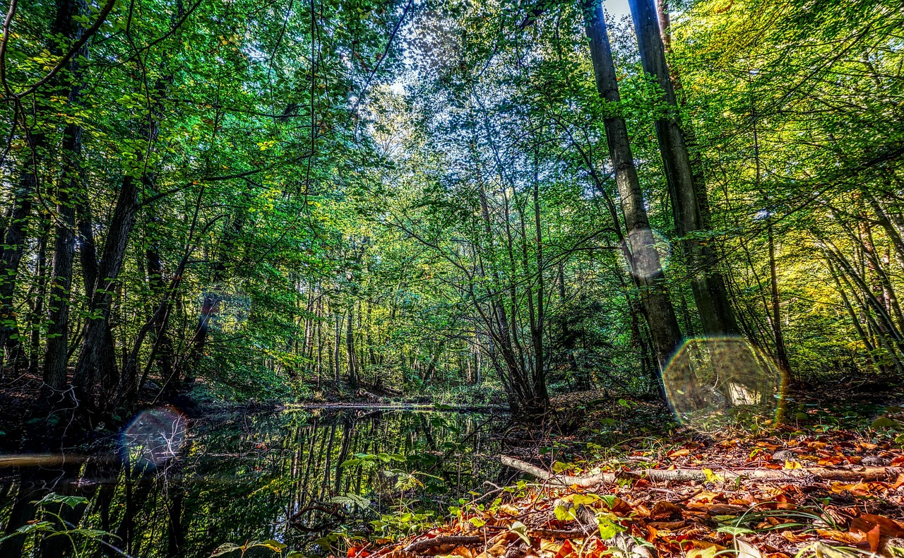 合肥百货最新动态引领区域零售市场革新