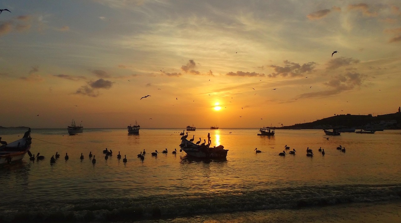 西咸新区最新房价动态分析与趋势预测