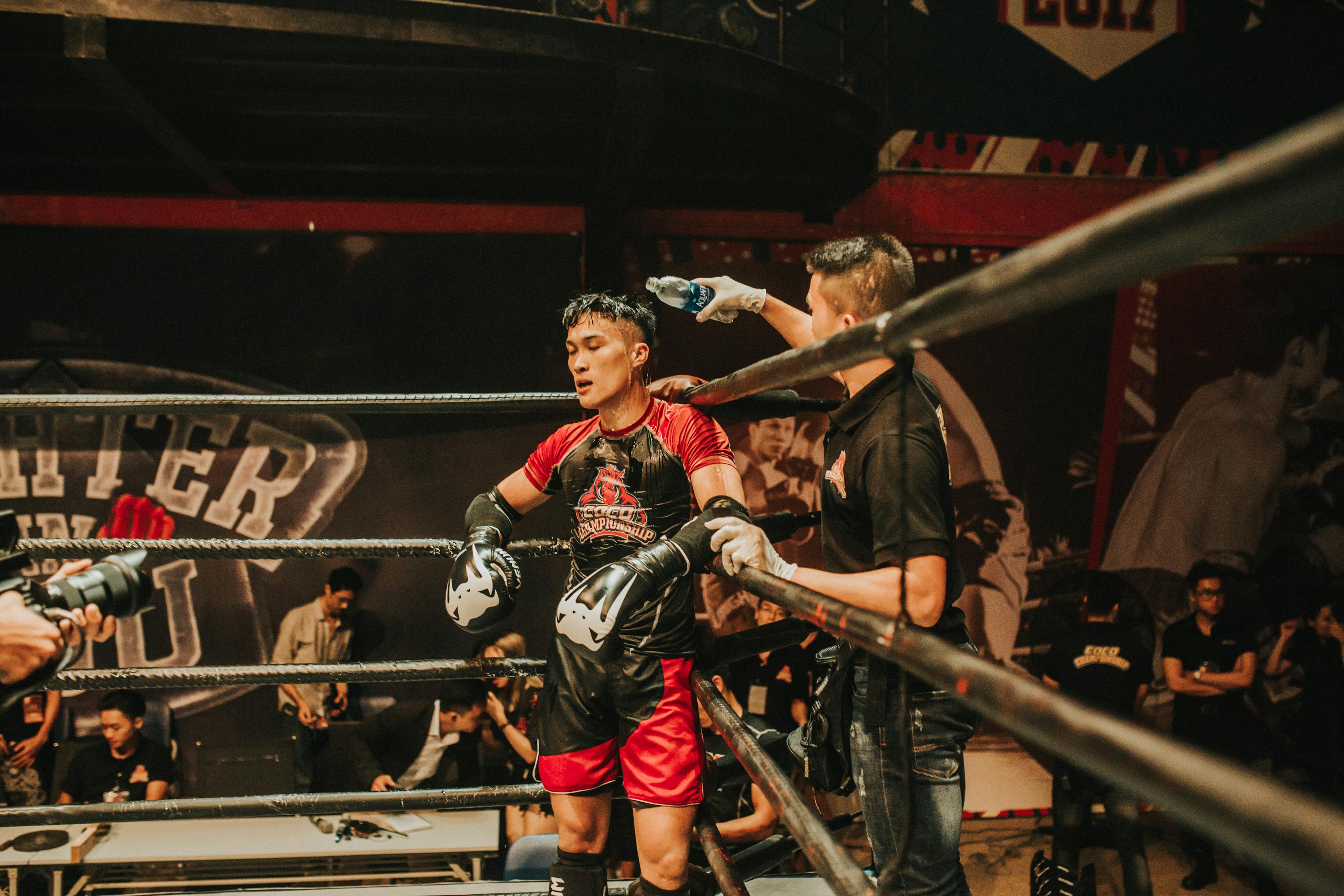 最新格斗游戏,热血竞技的新纪元