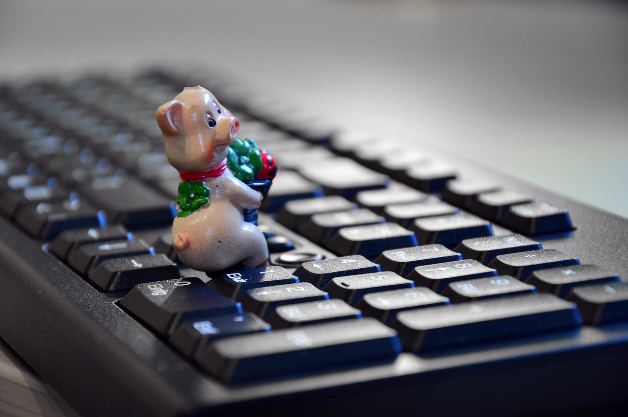 数字时代的无尽魅力探索,最新在线内容更新速递