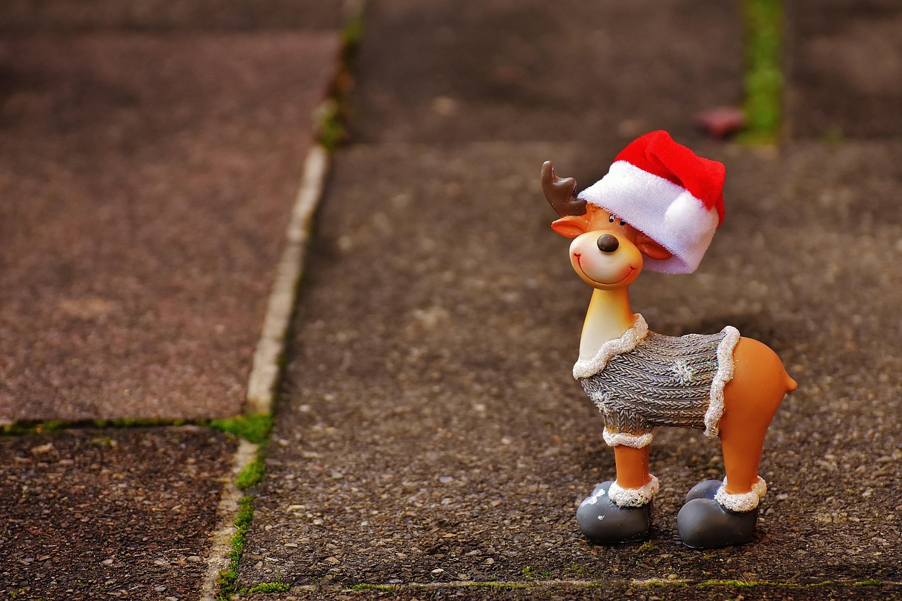 港岛区最新动态，发展、变革的脉搏跳动不息