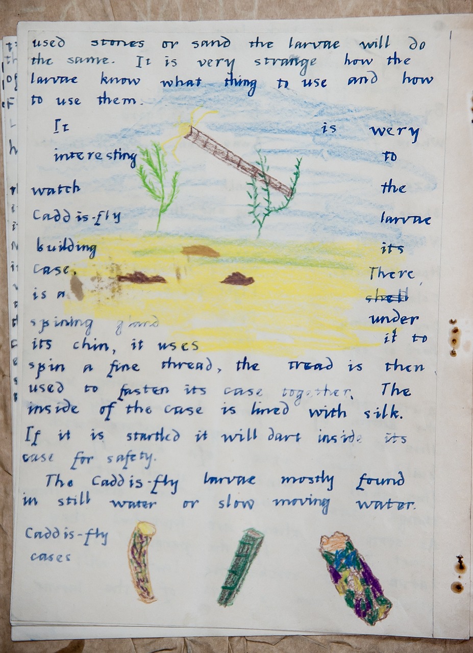 探索时代变迁下的多元主题,最新作文素材2017荟萃