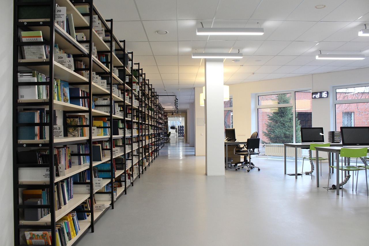 塞尔维亚访美深化交流与合作新领域动态报道