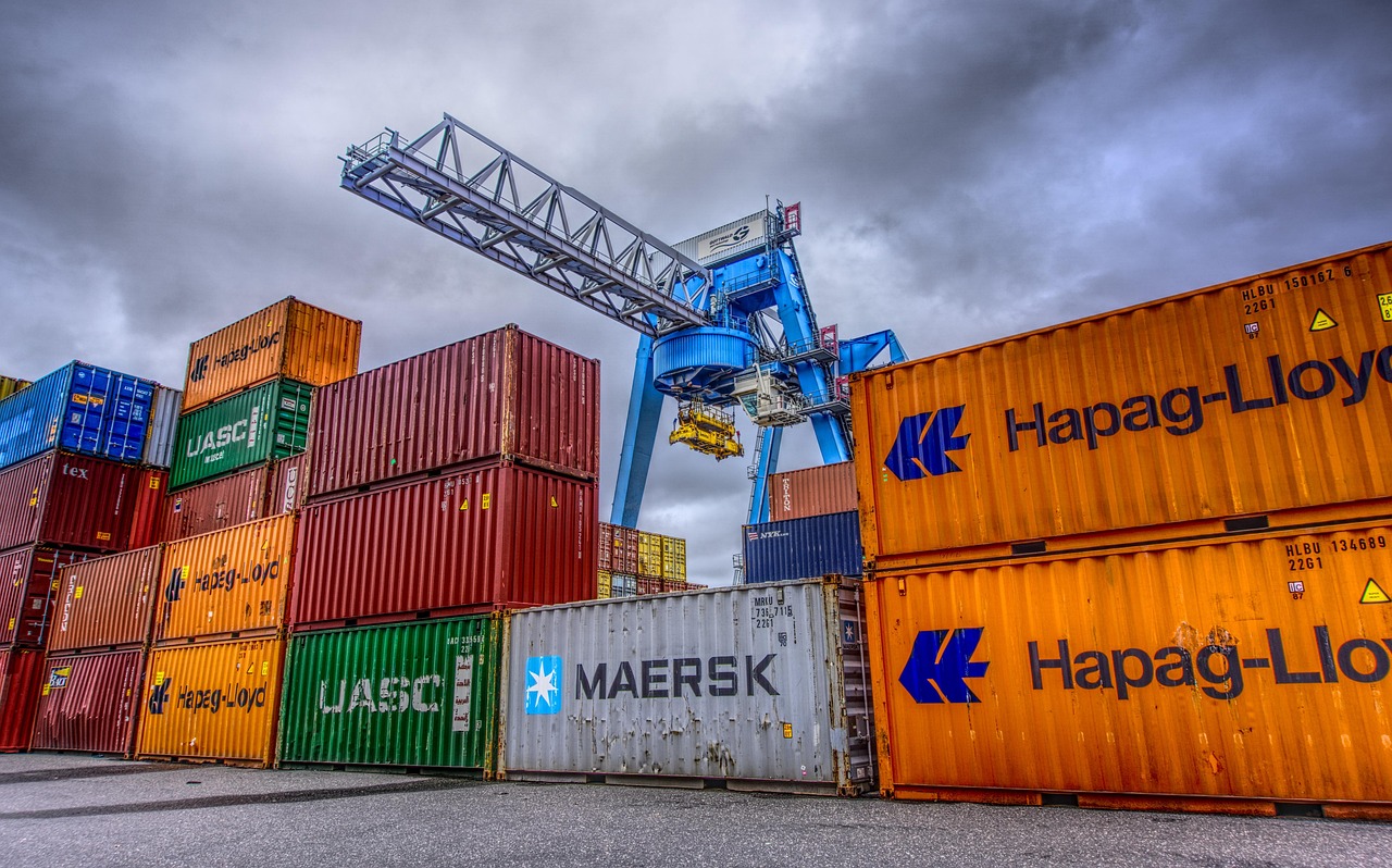 2023年海参价格走势分析与预测，海参每斤售价多少？