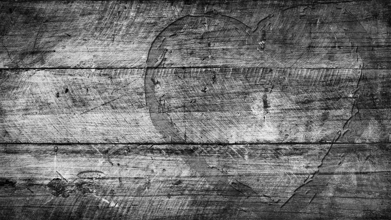 甘肃疫情最新动态今日更新,最新情况分析