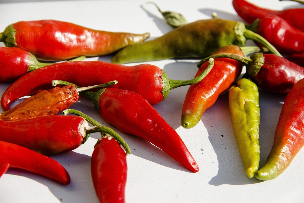 干辣椒市场价格走势及分析