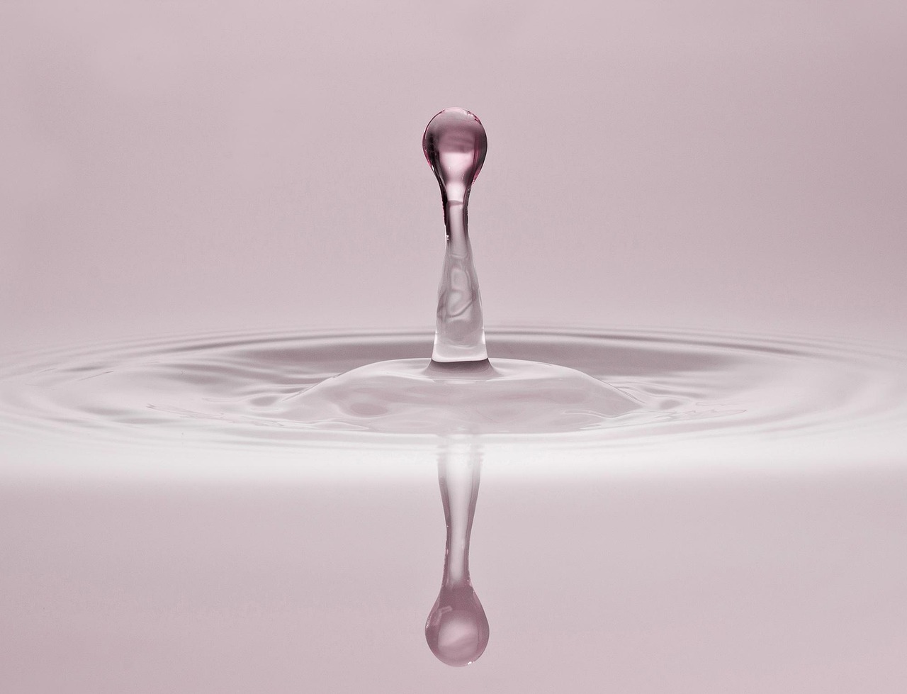 双嫩高速最新进展动态,进展、影响与展望