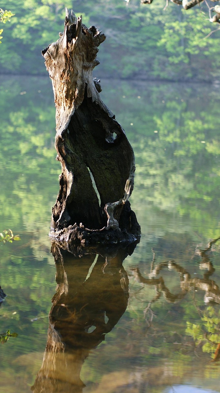 慕主先锋教会最新动态,探索与启示