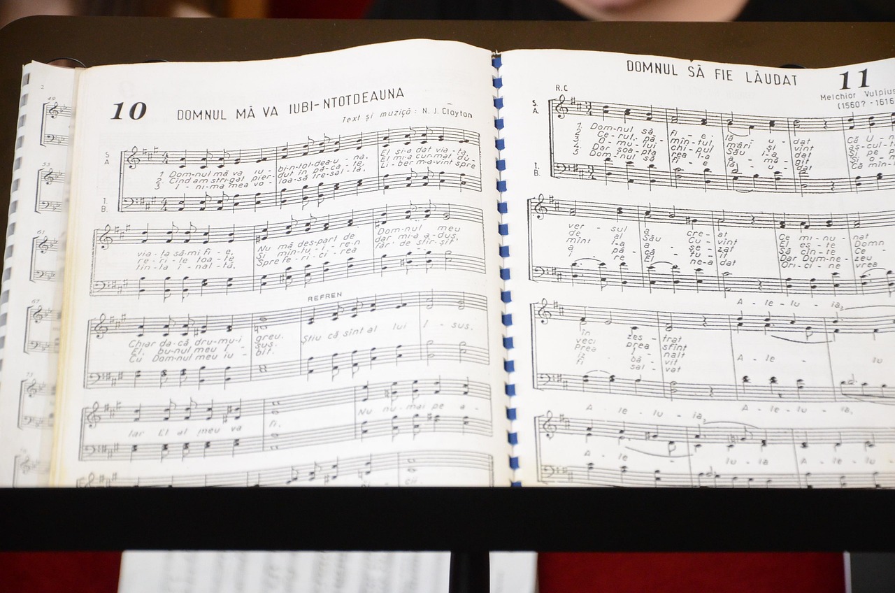 合唱盛宴,音乐的和谐之声与激情演绎