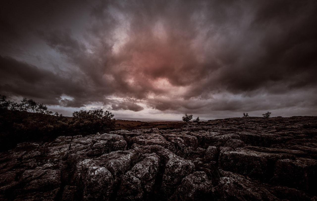 电影花与蛇3深度解读,神秘交织的花蛇之谜