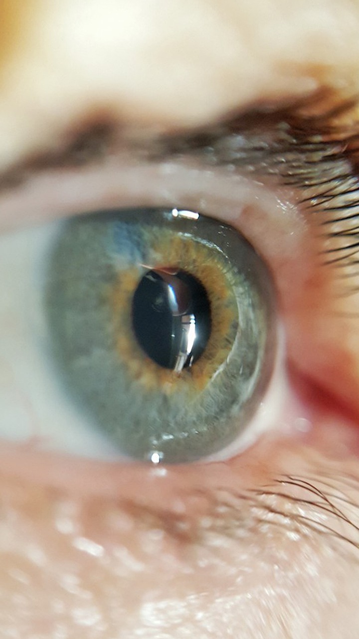 时尚潮流下的眉部美学新篇章,最新眉型展示