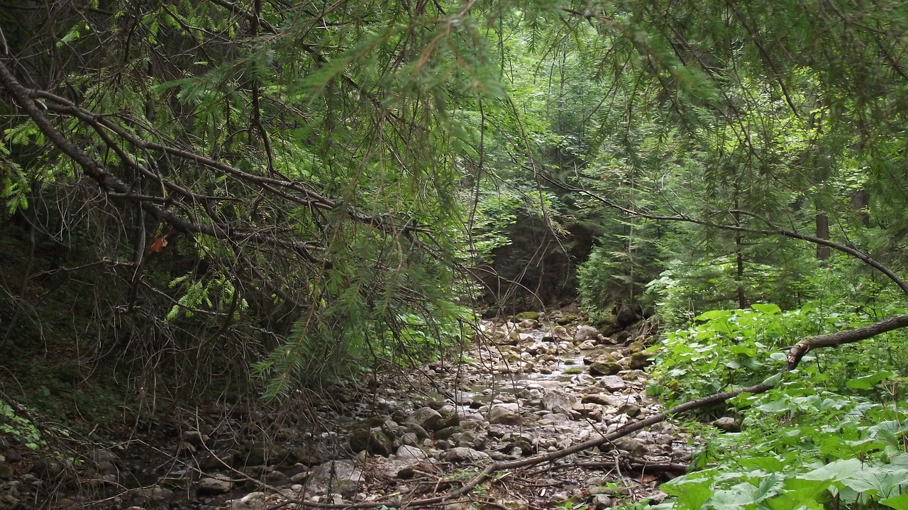 莆田石材厂，创新技术与绿色发展引领行业先锋的最新动态