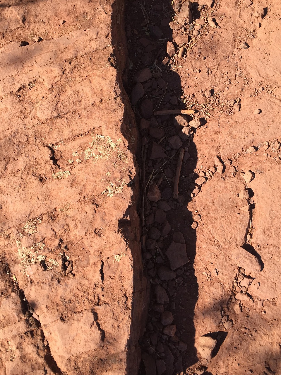 洪湖李景慧最新动态,探索未来无限可能