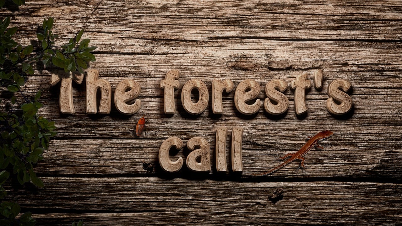 狩猎电影，野性的呼唤与银幕之旅