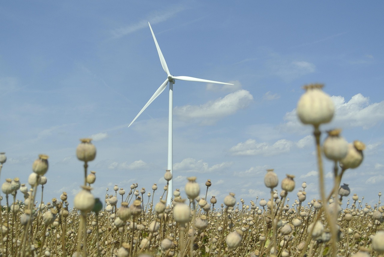 绿色能源最新资讯，引领能源革命的未来趋势