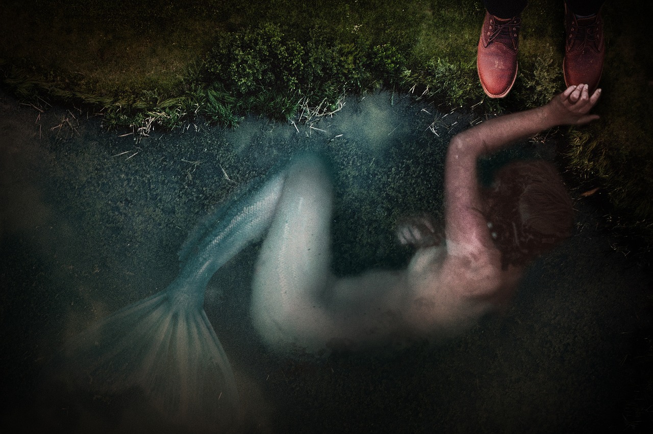 探索明星背后的故事，明星物揭秘之旅