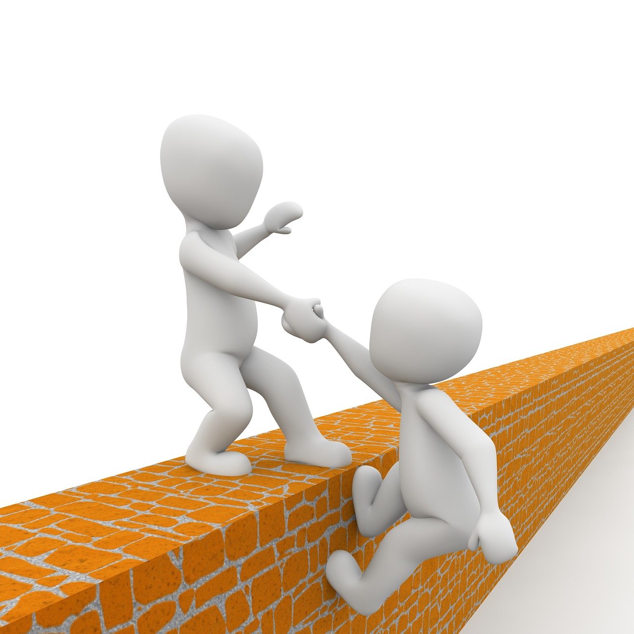 禽流感上市公司龙头,挑战与机遇并存的发展之路