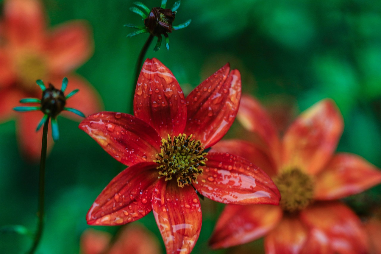 珠海幸福一百迈向未来的步伐与探索最新动态