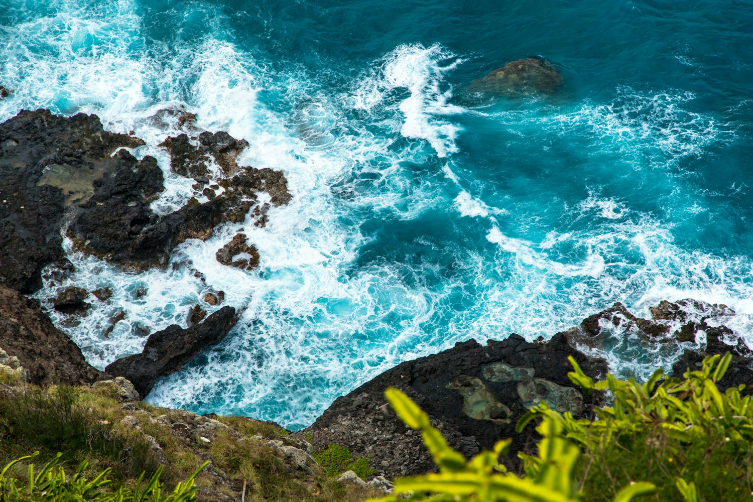 探索海洋的视听盛宴,海浪电影的世界之旅