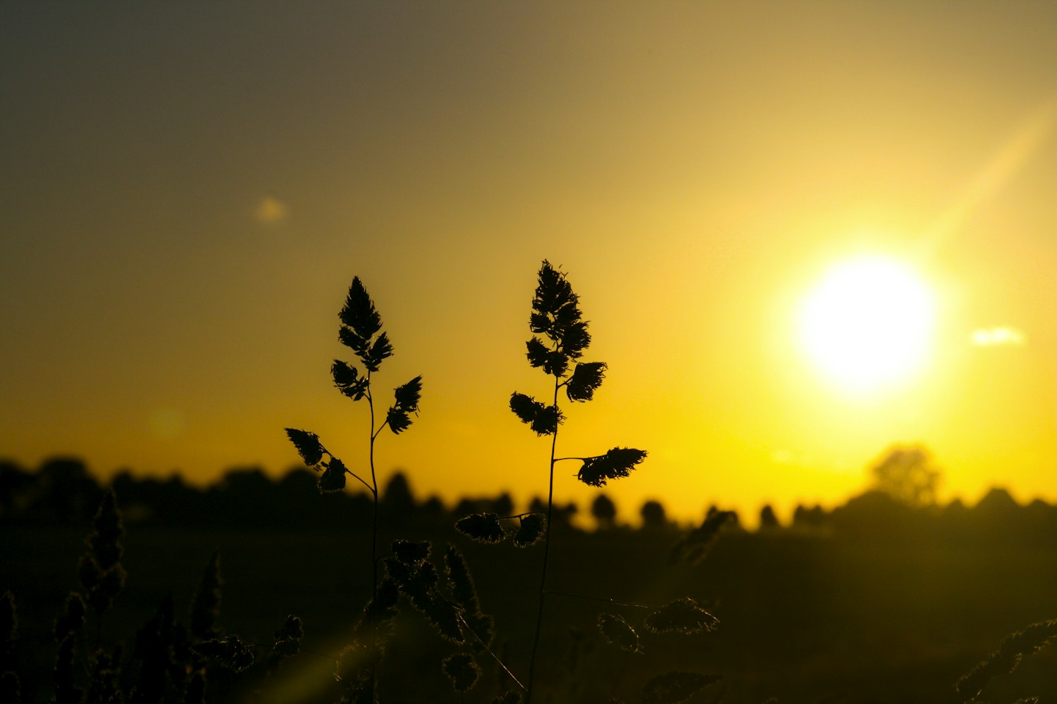 动漫男生背景图探索与赏析