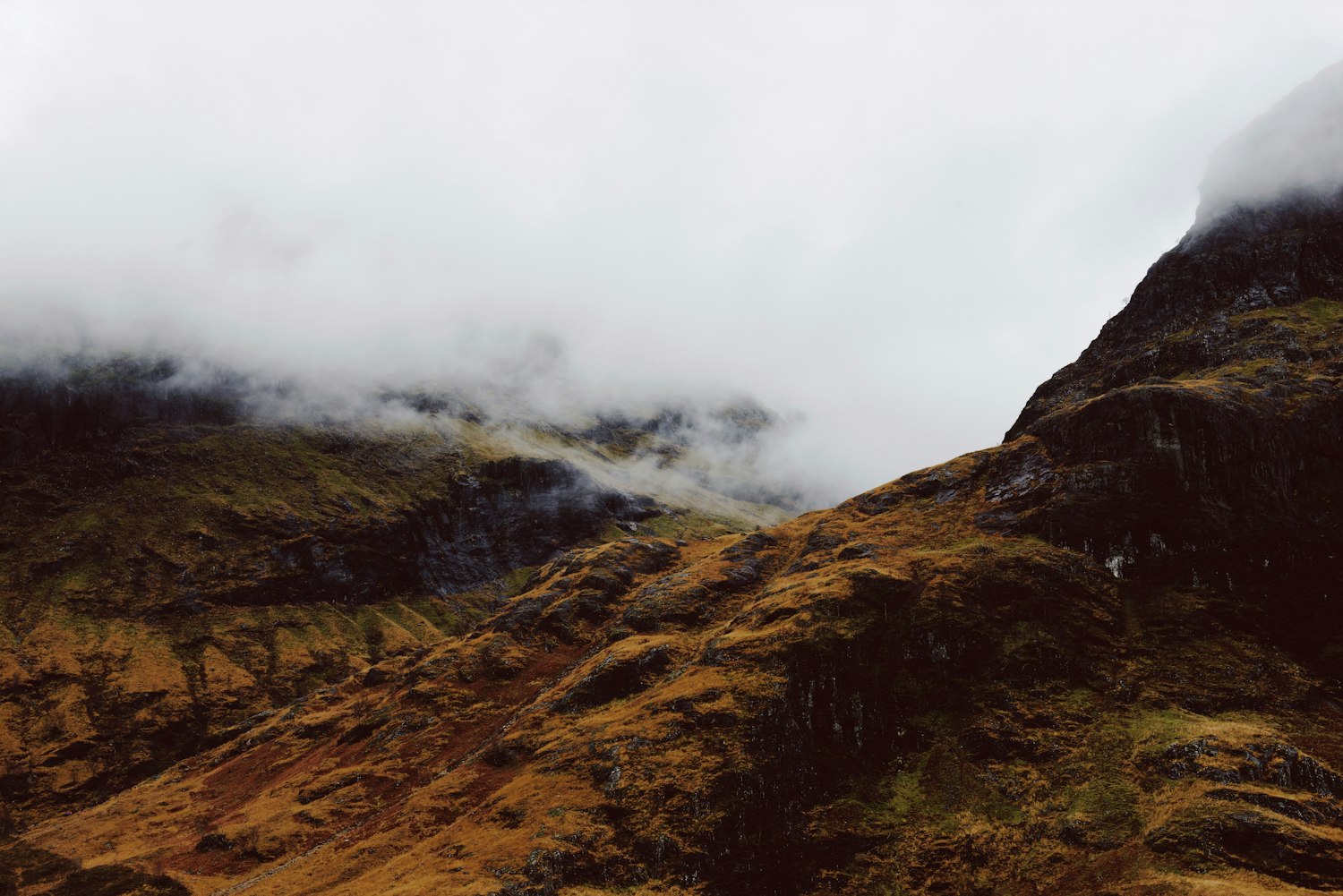 阮开森拟任正厅职务的最新动态及进展