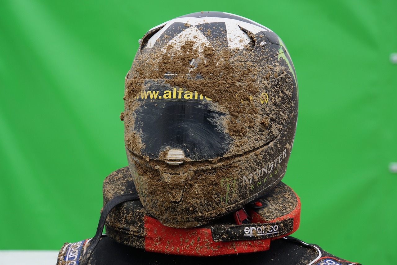 全球蝗虫灾害动态,应对策略与严峻挑战