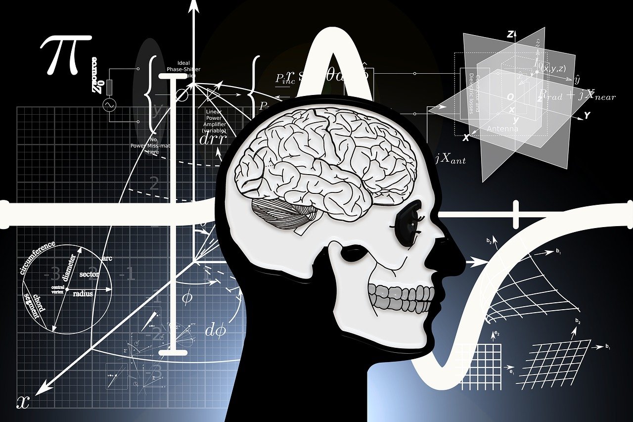 最新国语鬼片电影，恐怖电影的魅力与惊悚元素探索