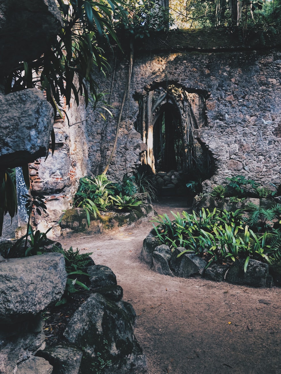 临朐最新影像,探索与发现的旅程